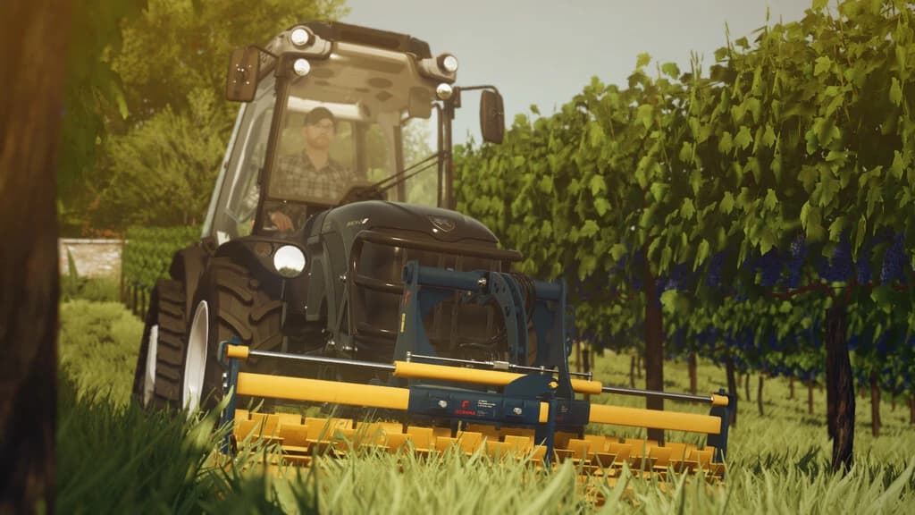 VINEYARD PACK 3