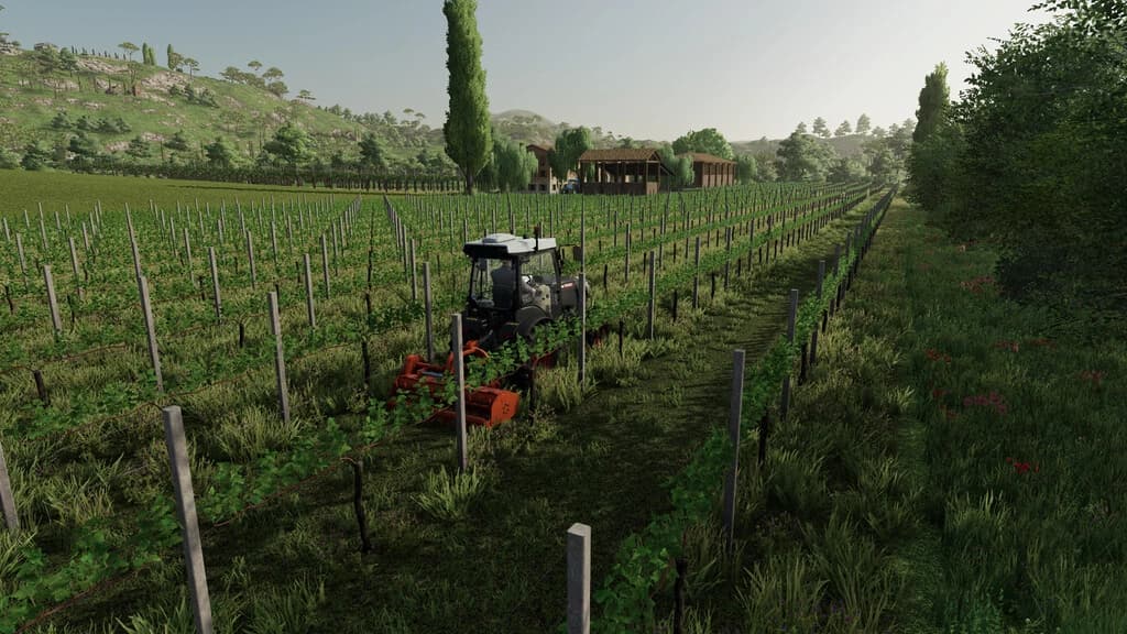 VINEYARD POLES PACK 3
