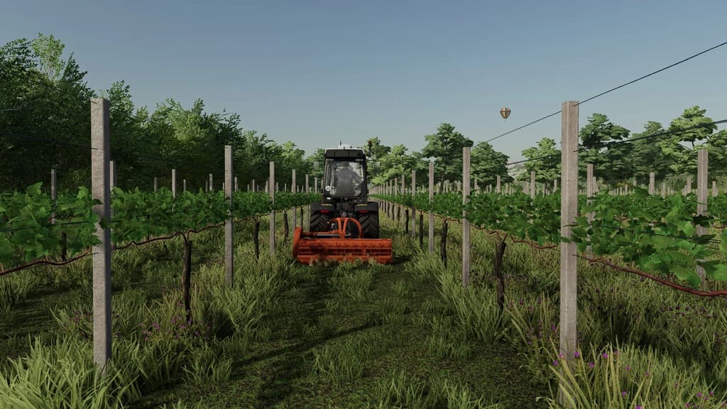VINEYARD POLES PACK 2