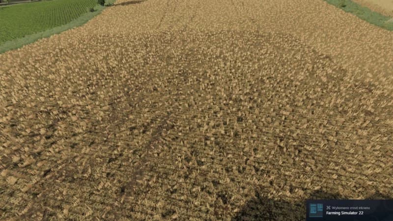VISIBLE MANURE TEXTURE