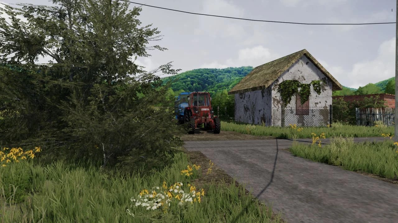 VISS MAP 4