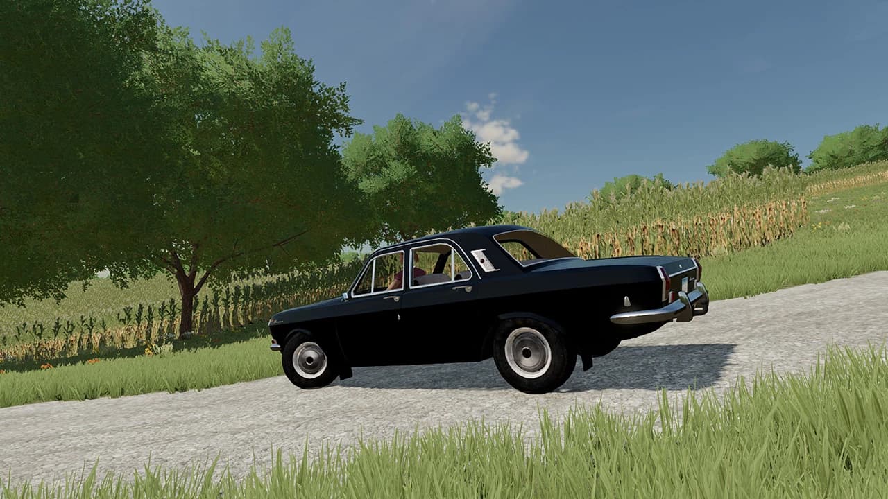 VOLGA GAZ 24 5