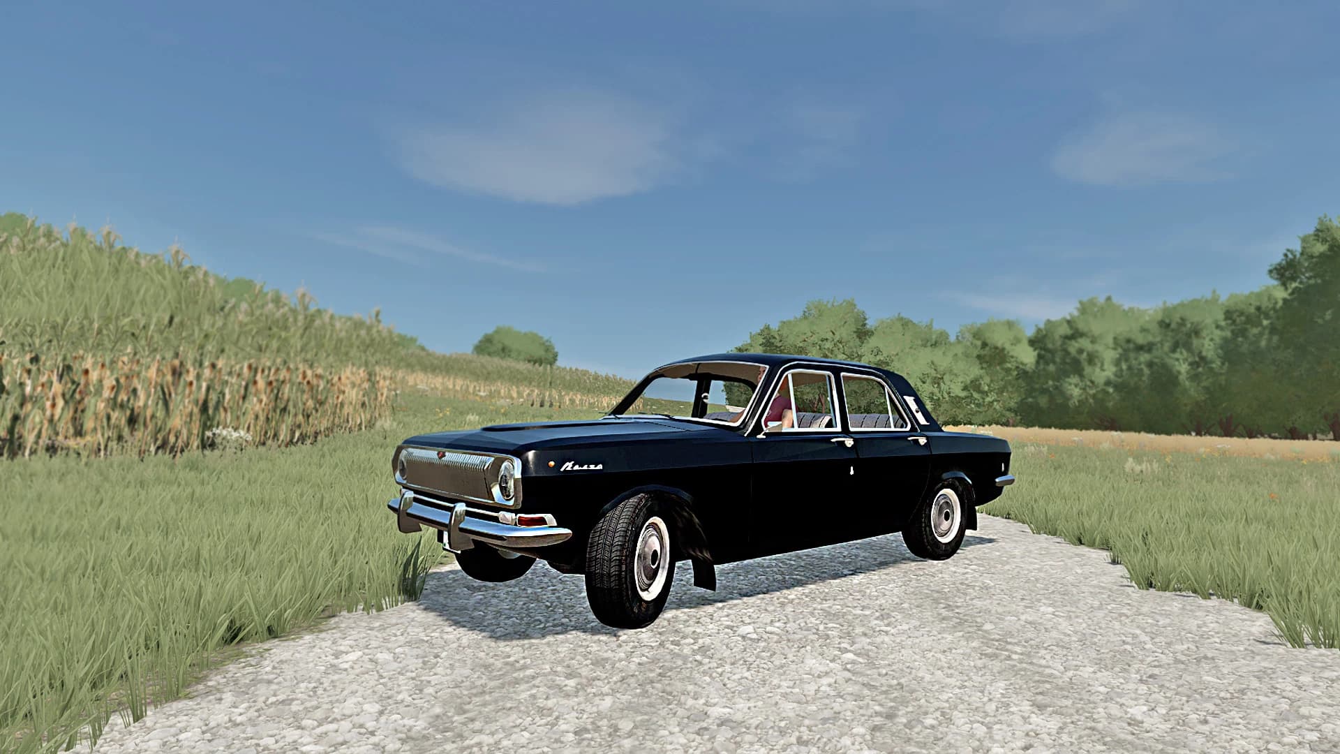 VOLGA GAZ 24 4