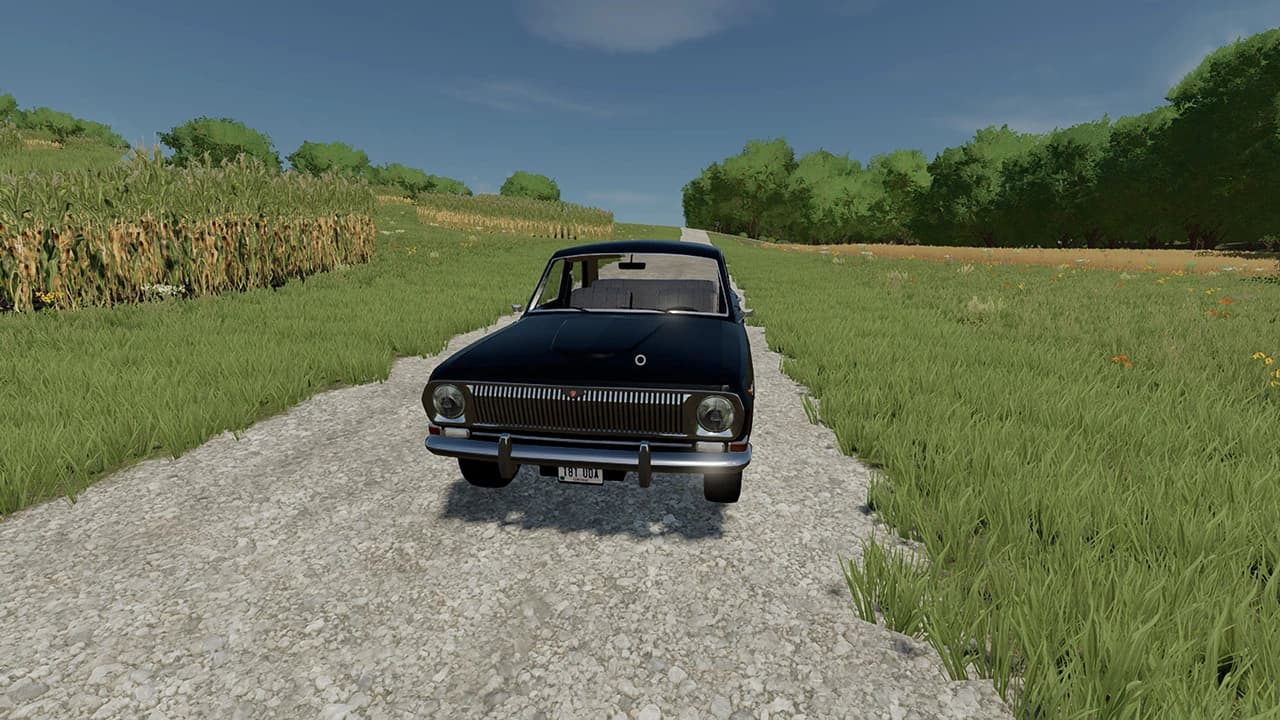 VOLGA GAZ 24 2