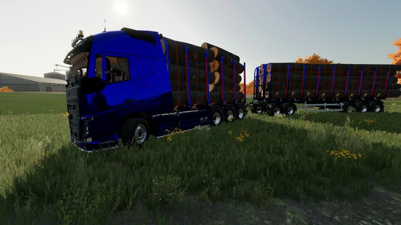 VOLVO FH16 WOOD WITH AUTOLOAD 5