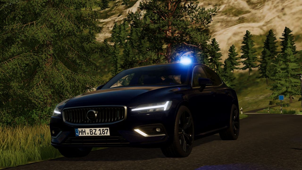 Volvo S60/ 2019 4