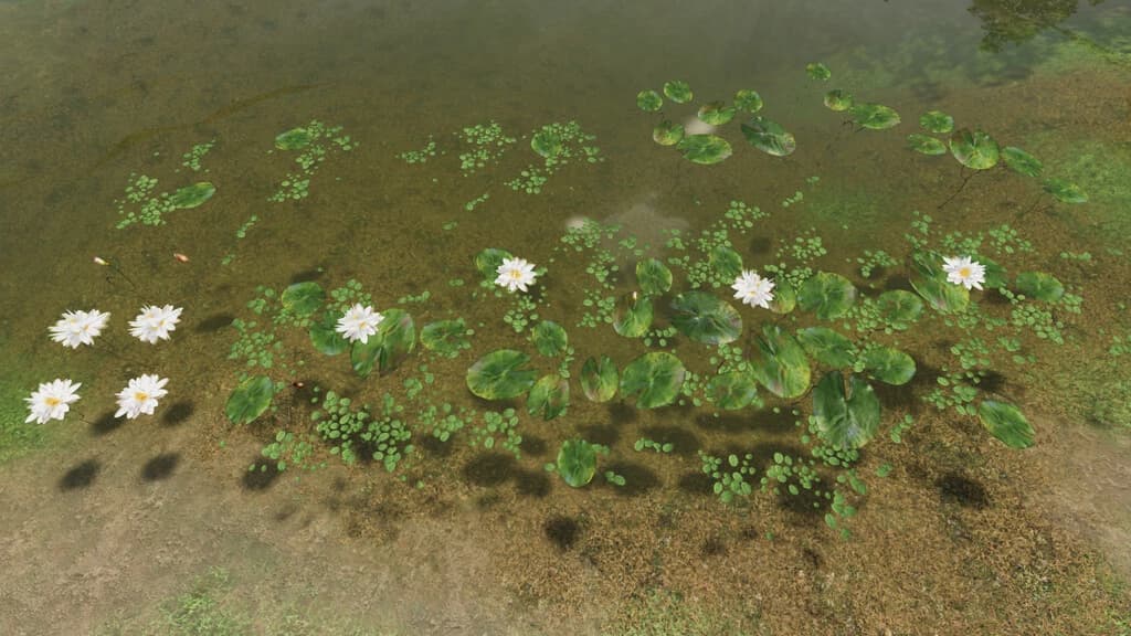WATER LILIES MIX 3