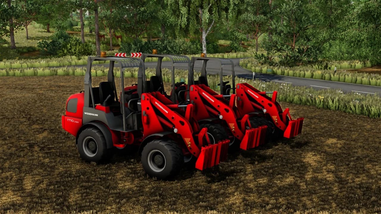 WEIDEMANN 1770 CX 50 BETA