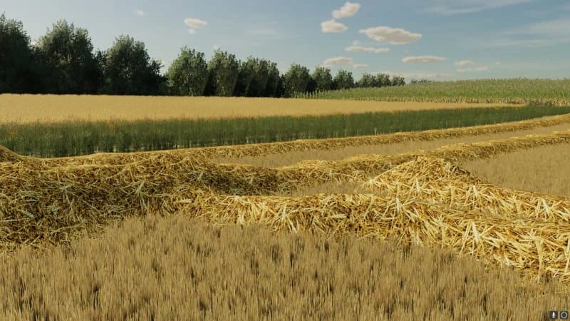 WIDE SWATHS OF STRAW 3