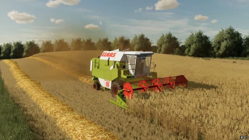 WIDE SWATHS OF STRAW 2