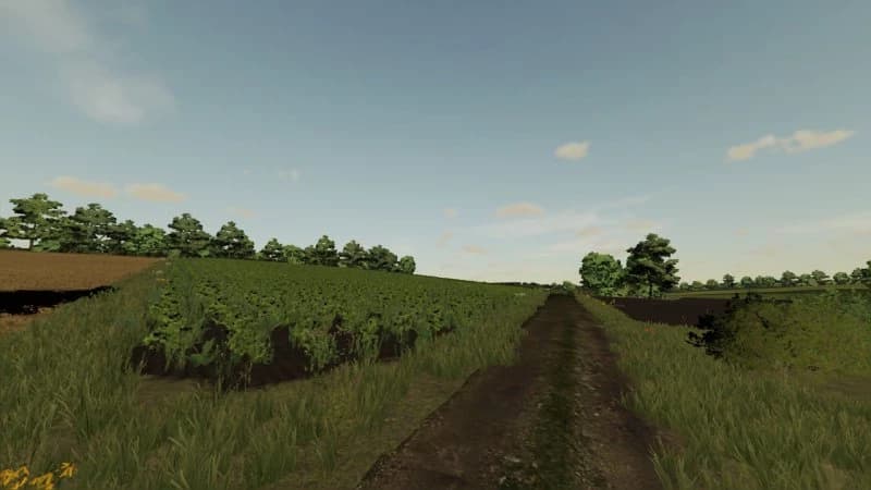 WIELMOŻA MAP 3