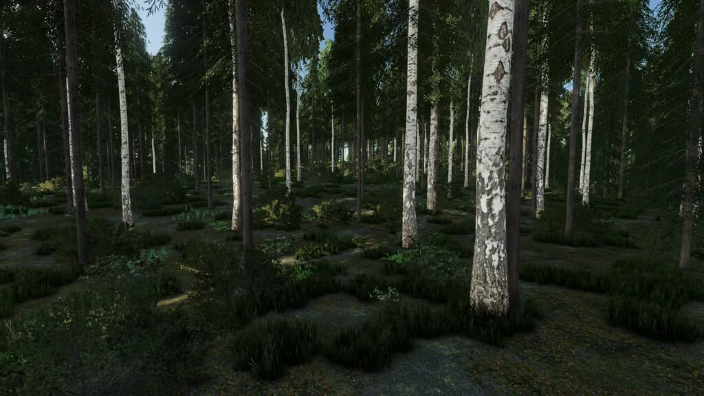 WILD RIVER FOREST 3