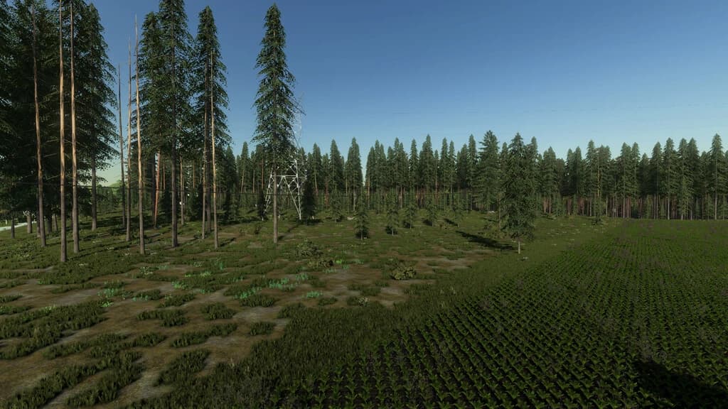 WILD RIVER FOREST 2