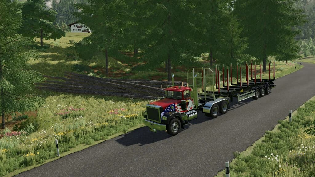WOOD LOADER 2