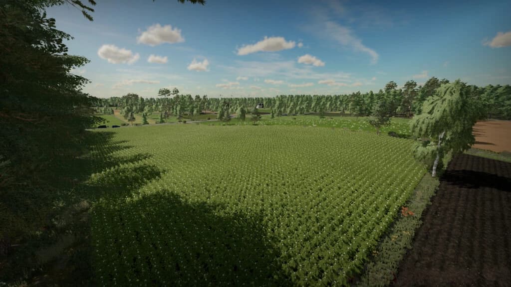 WOSNICE MAP 2