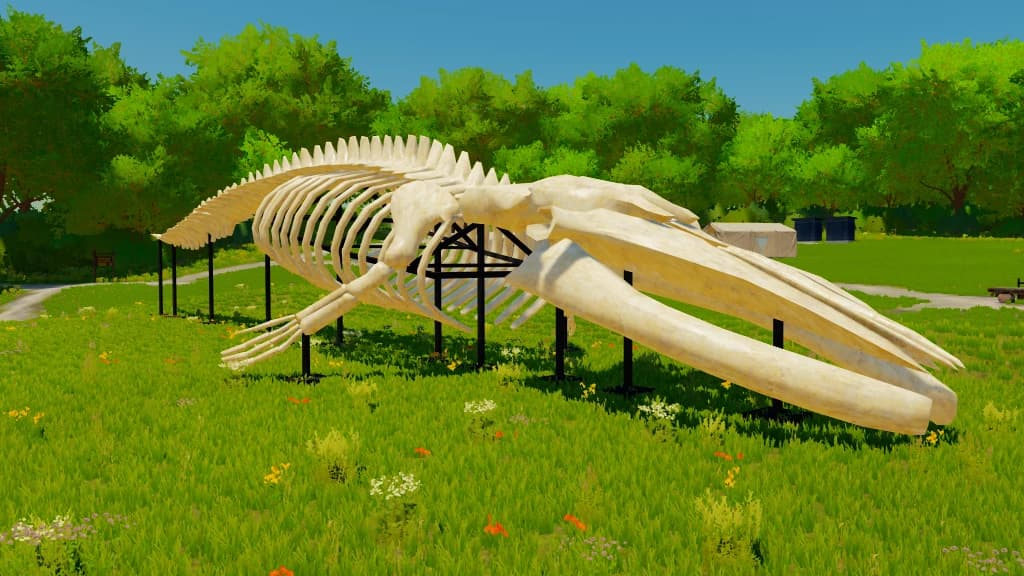 Whale Skeleton Sculpture 3