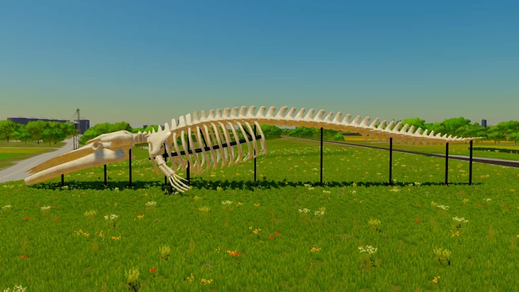 Whale Skeleton Sculpture 2