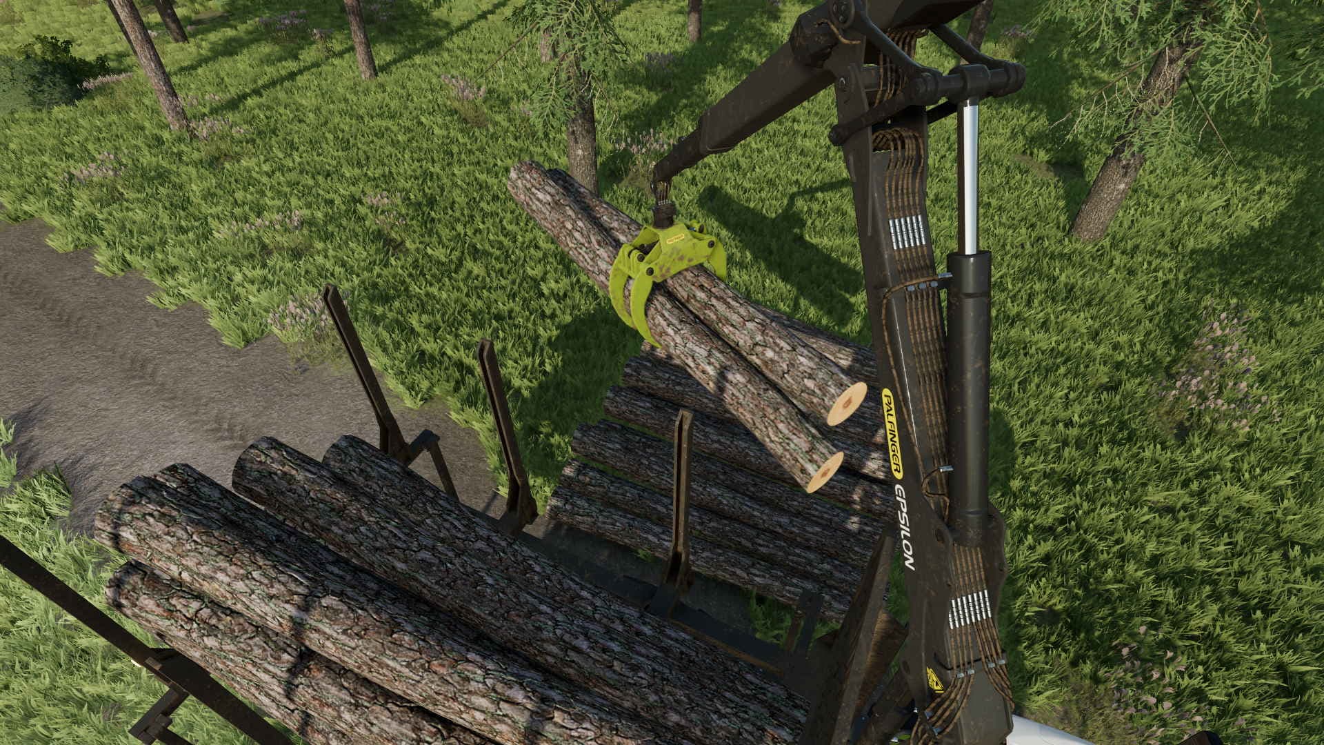 Xerion Timber Extension 5