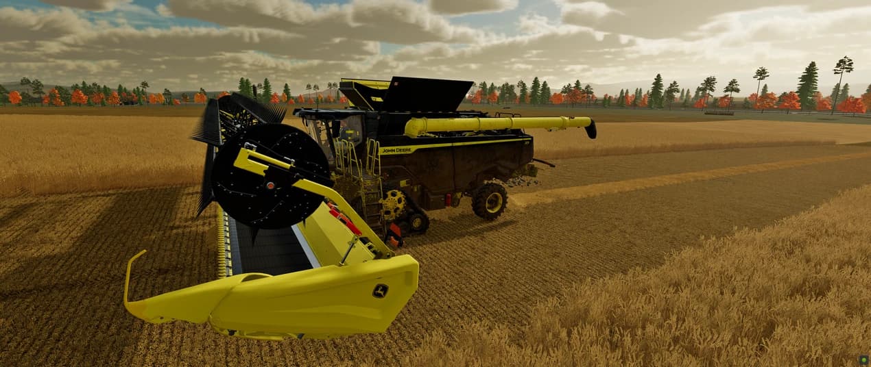PACK BLACK & YELLOW C16F AND HD50F 4
