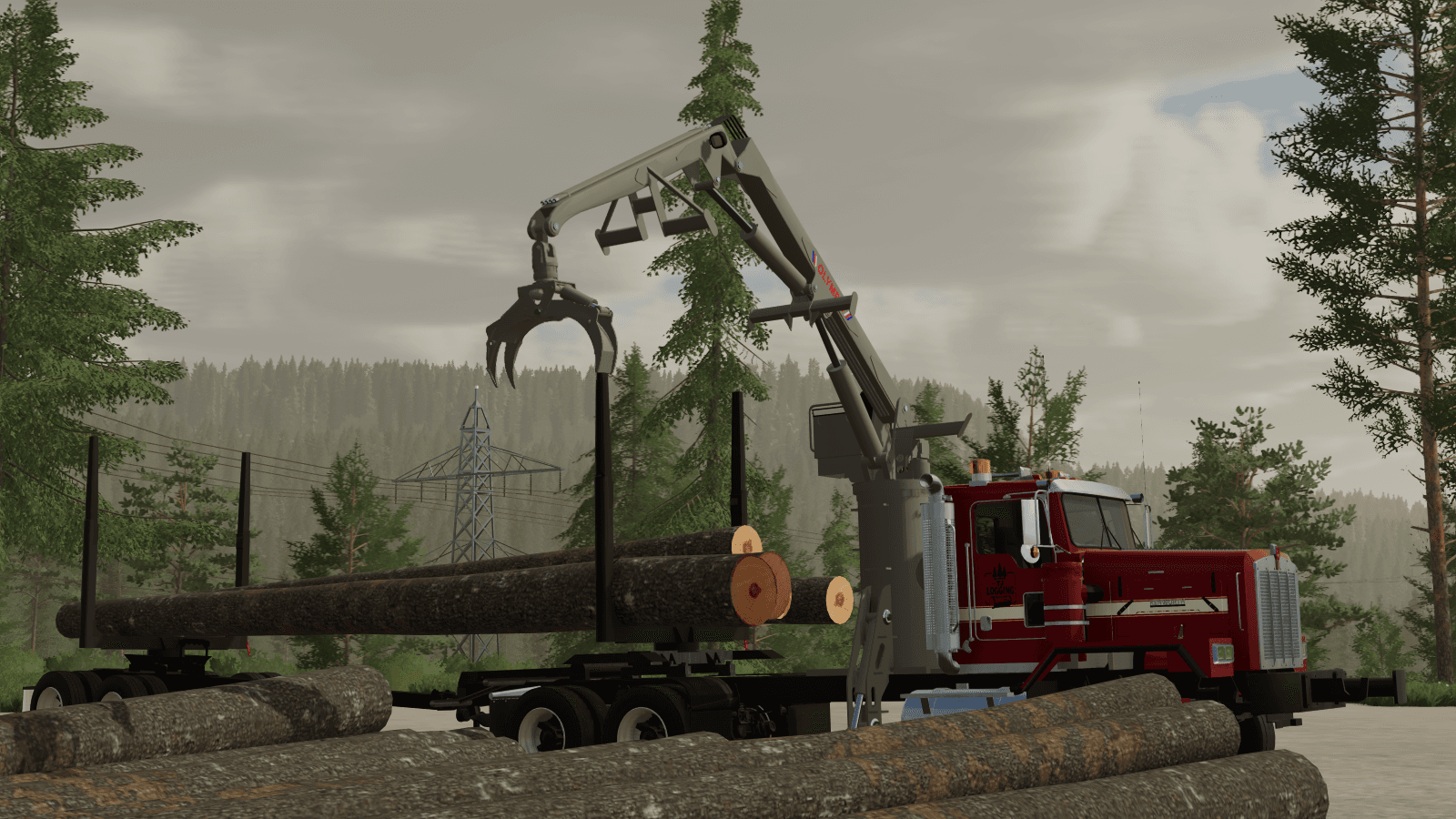 AR Olympic Self Loader 3