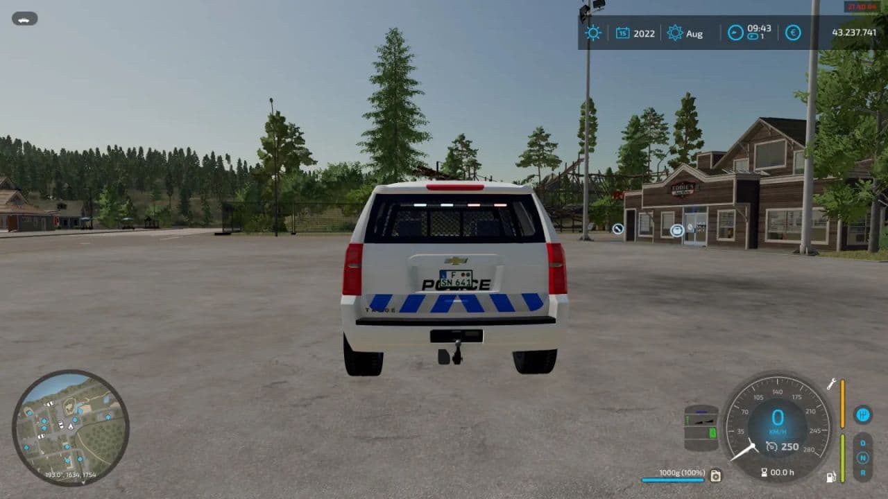 Airport Police Skin