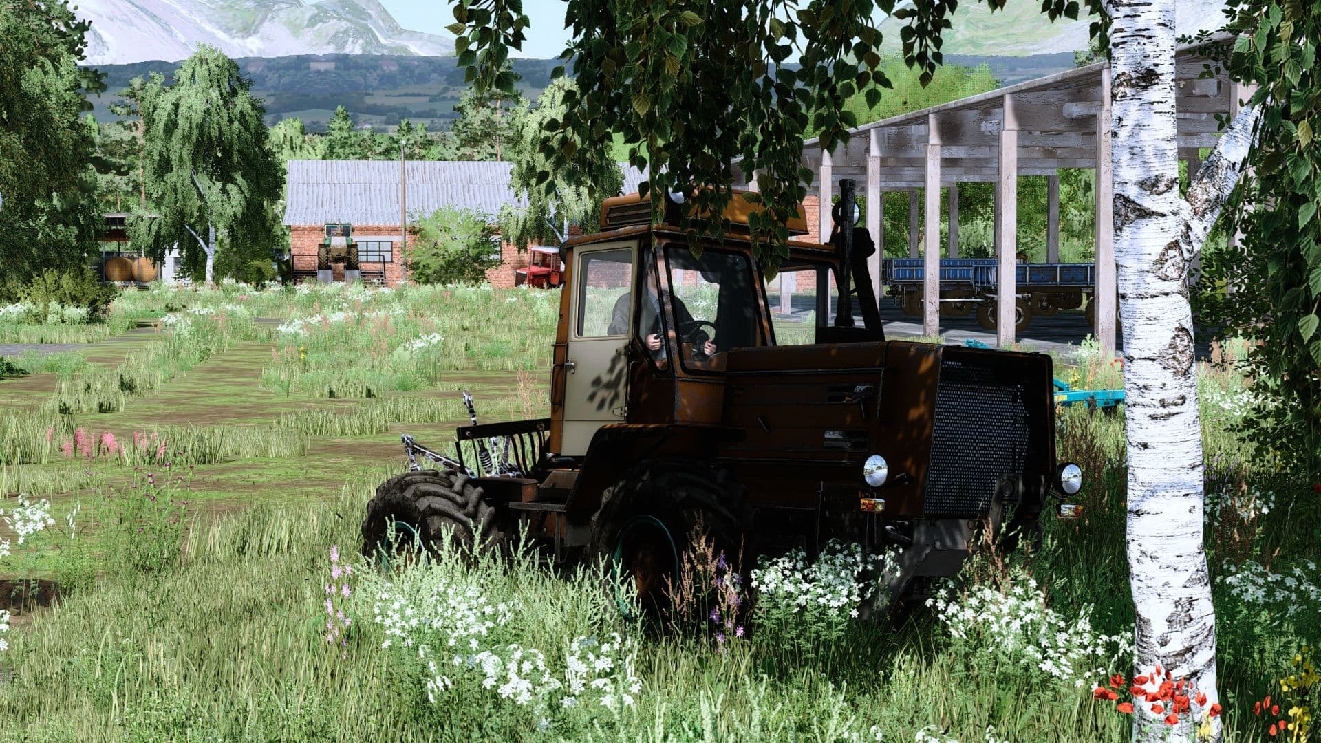 Altai Valley 4