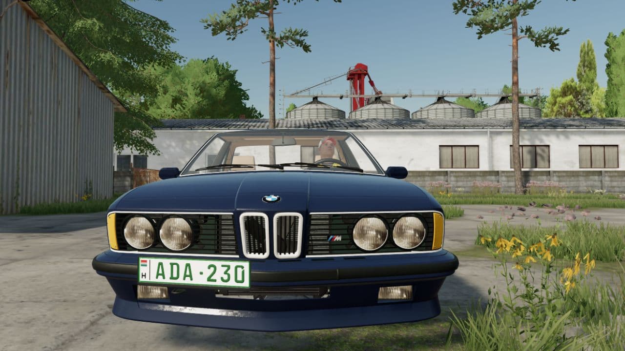 BMW E24 Shark 3