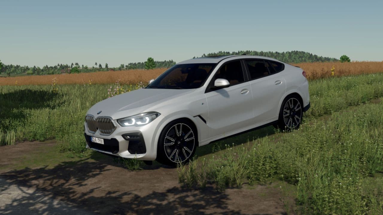 BMW X6 M-Sport 2020 3