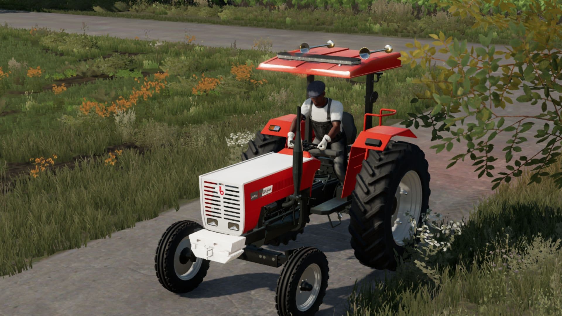 Başak 2075 V Beta