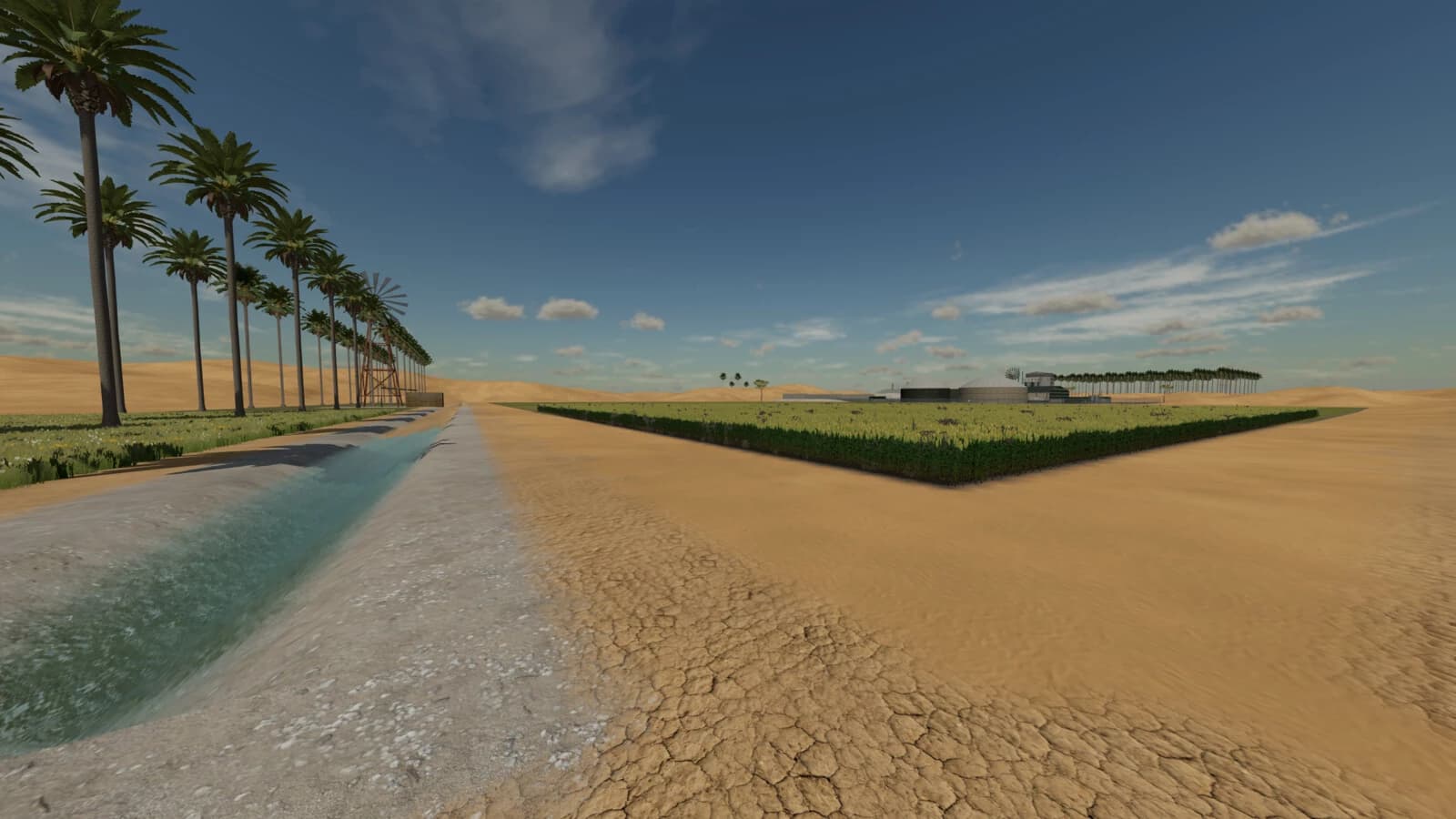 Desert Oasis 5