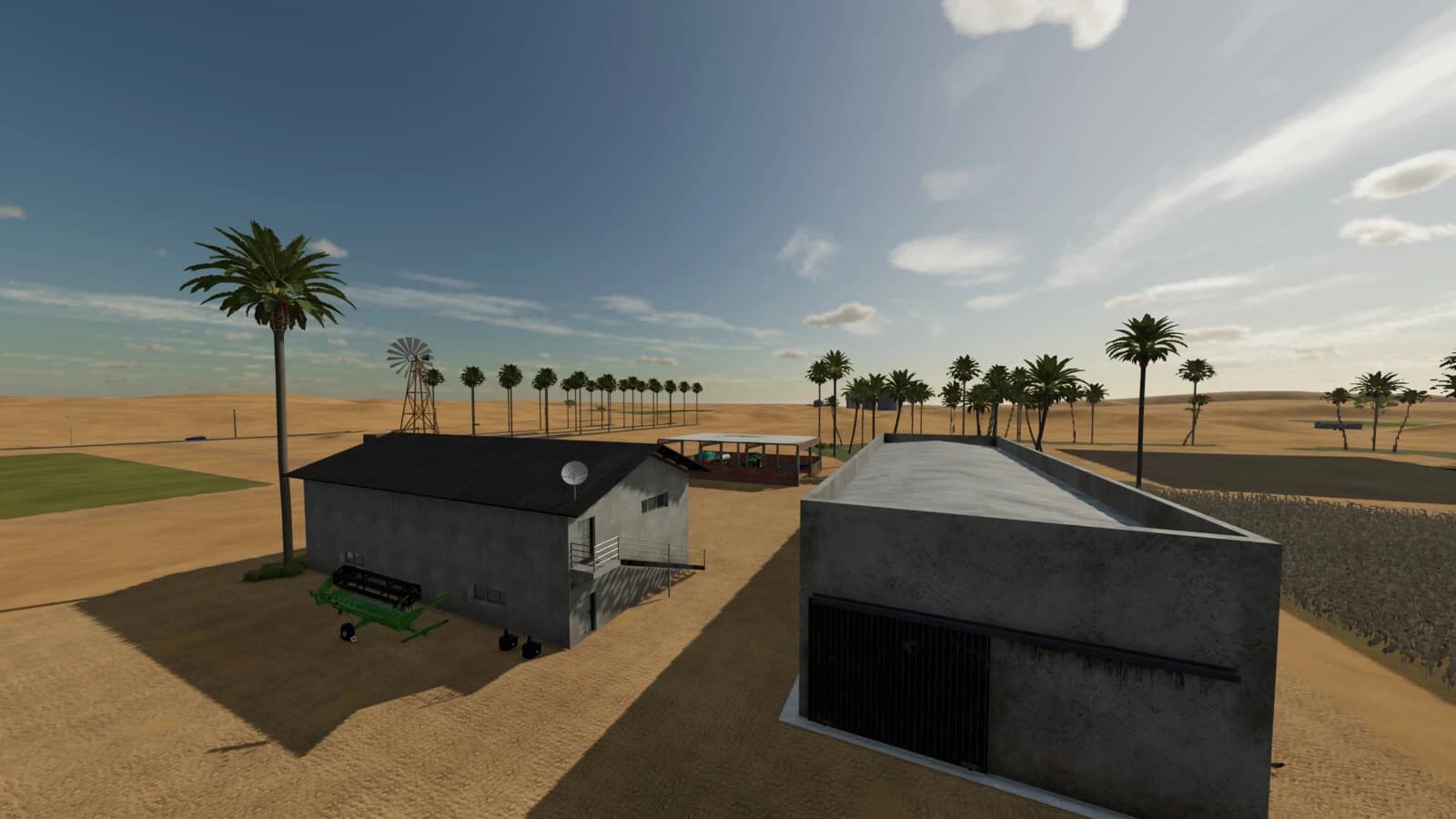 Desert Oasis 4