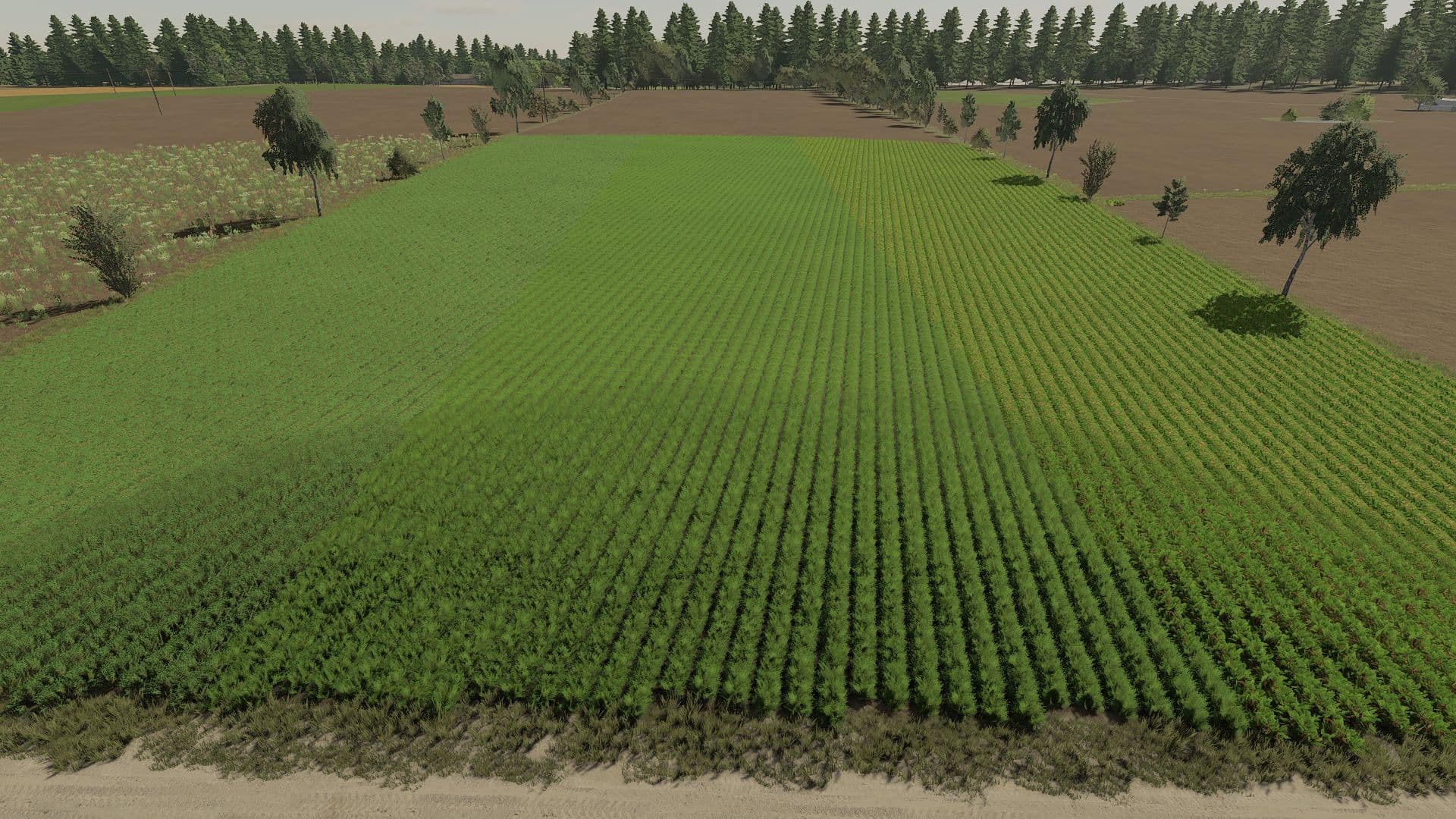 Foliages Pack 4