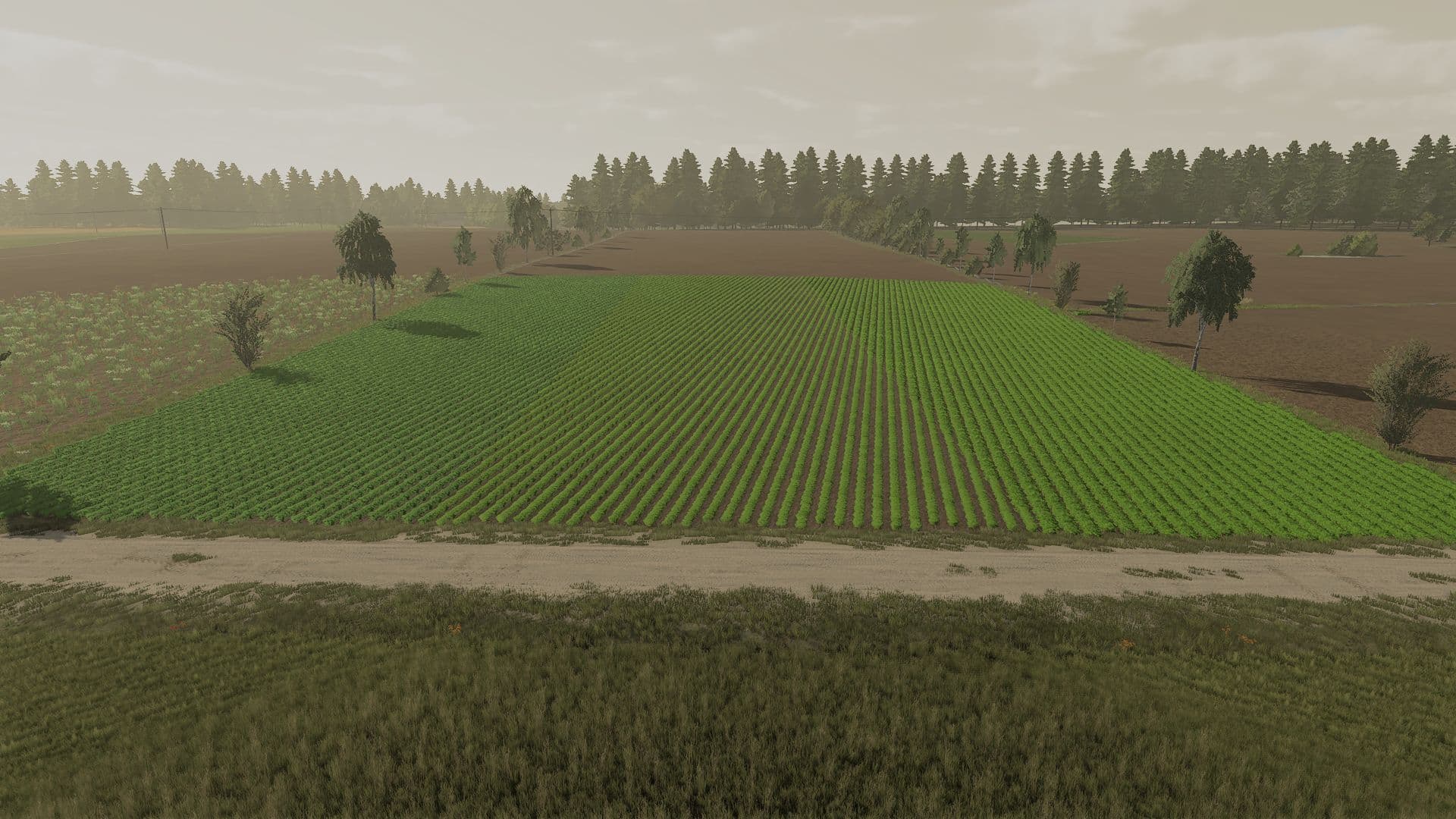 Foliages Pack 3