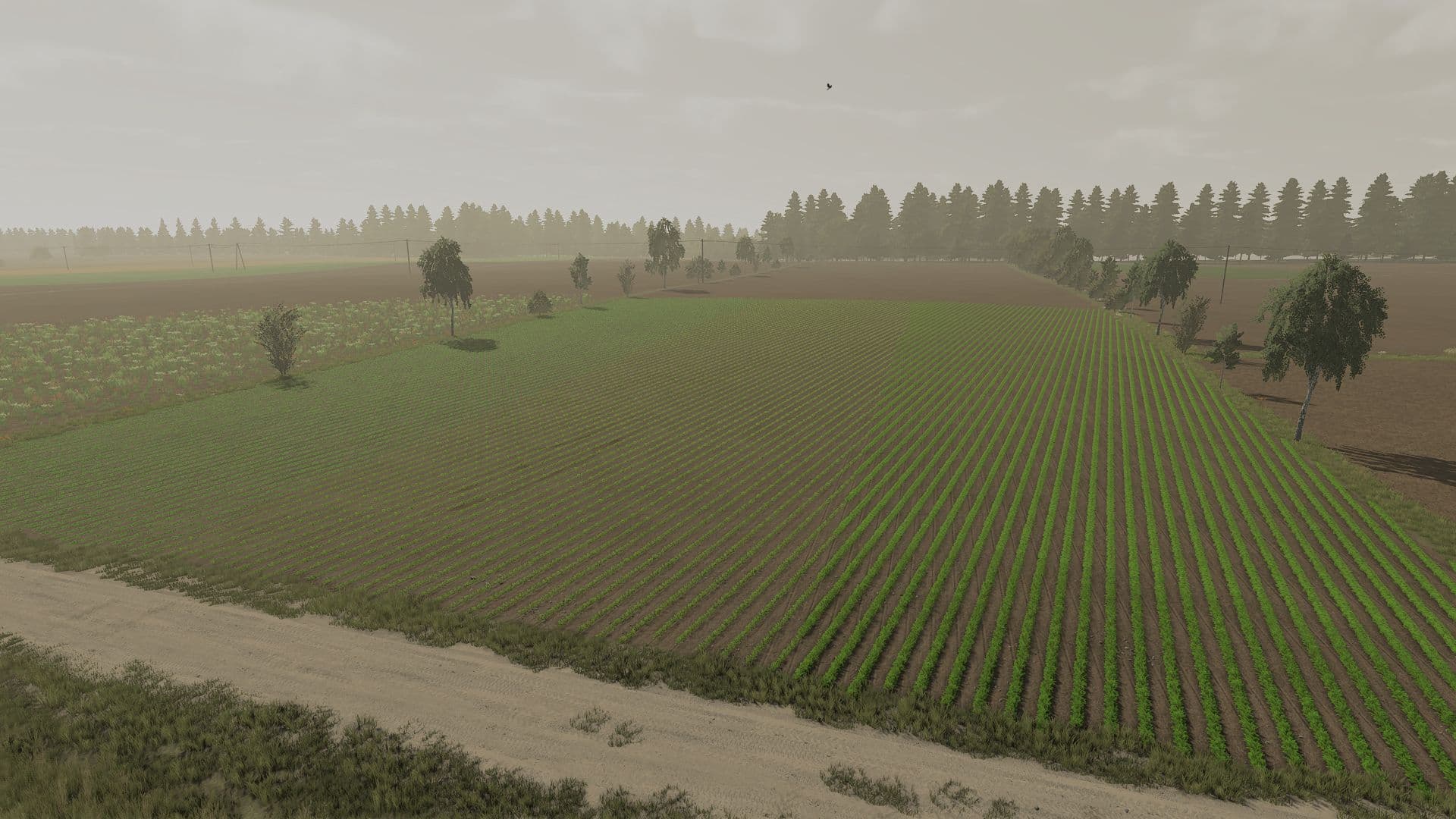 Foliages Pack 2