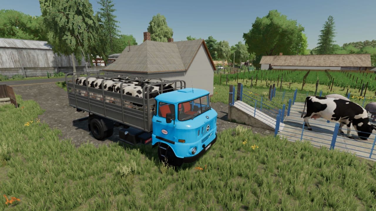 IFA W50 Animal Transport 2