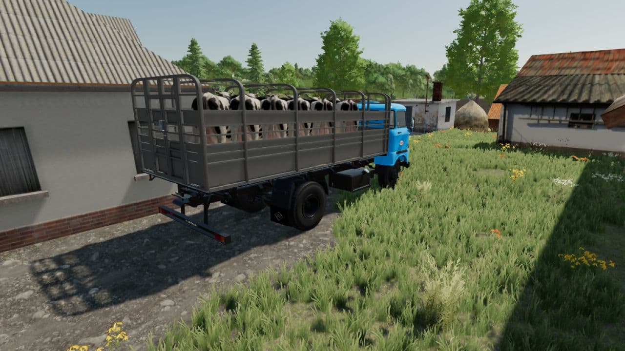 IFA W50 Animal Transport