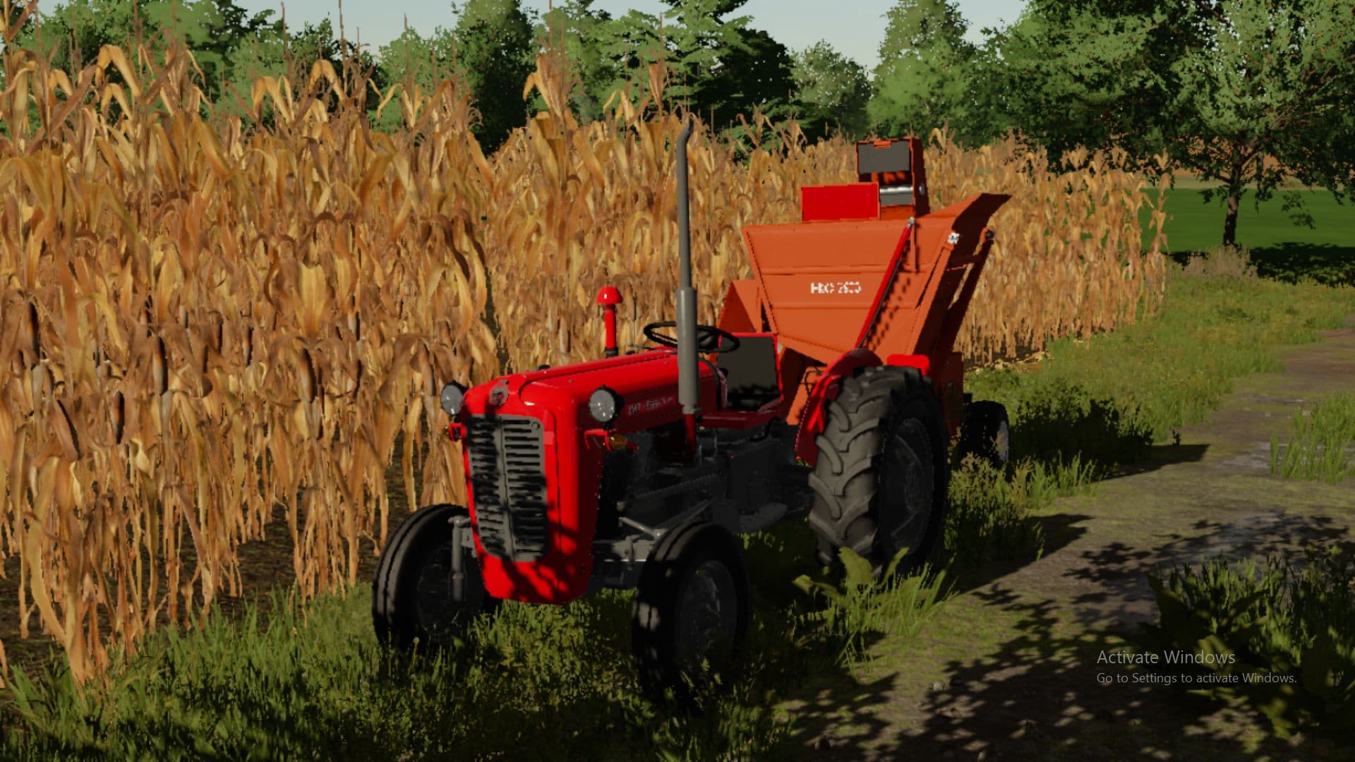 IMT 539