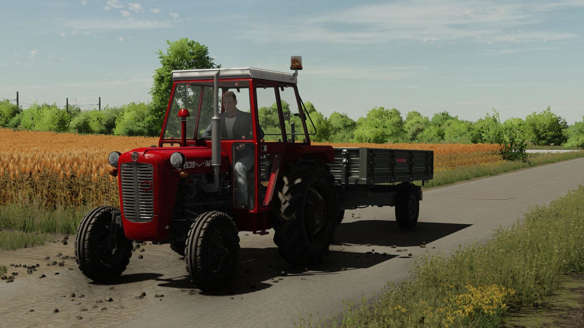 IMT 539 6