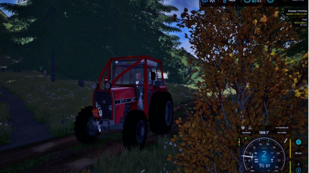 IMT 577 Forest 2
