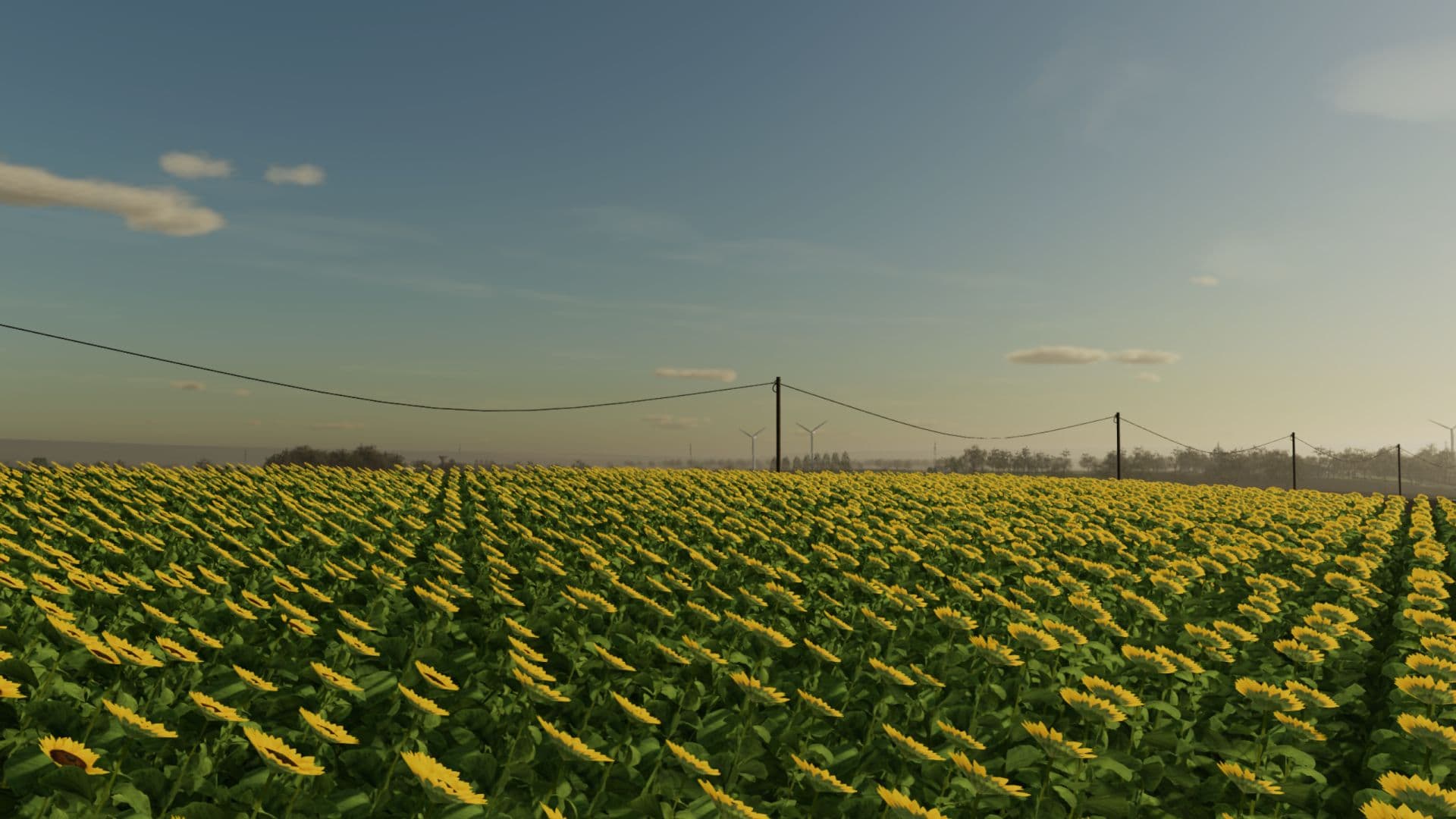 Le Bassin Agricole 6