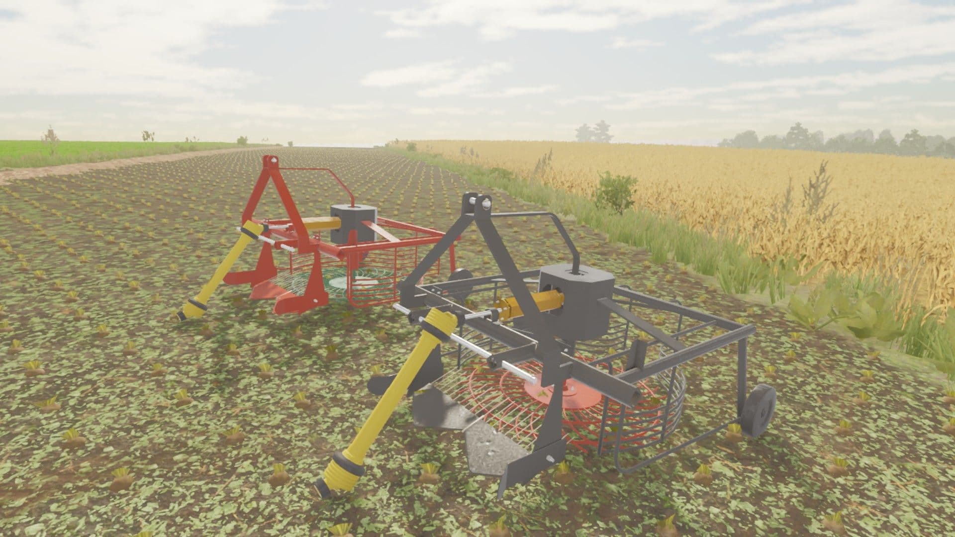 Lizard Kop 1.0M 2