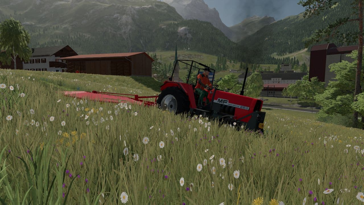 Massey Ferguson 254 V Beta 2