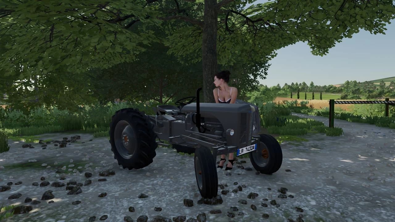 Massey Ferguson TE20 2