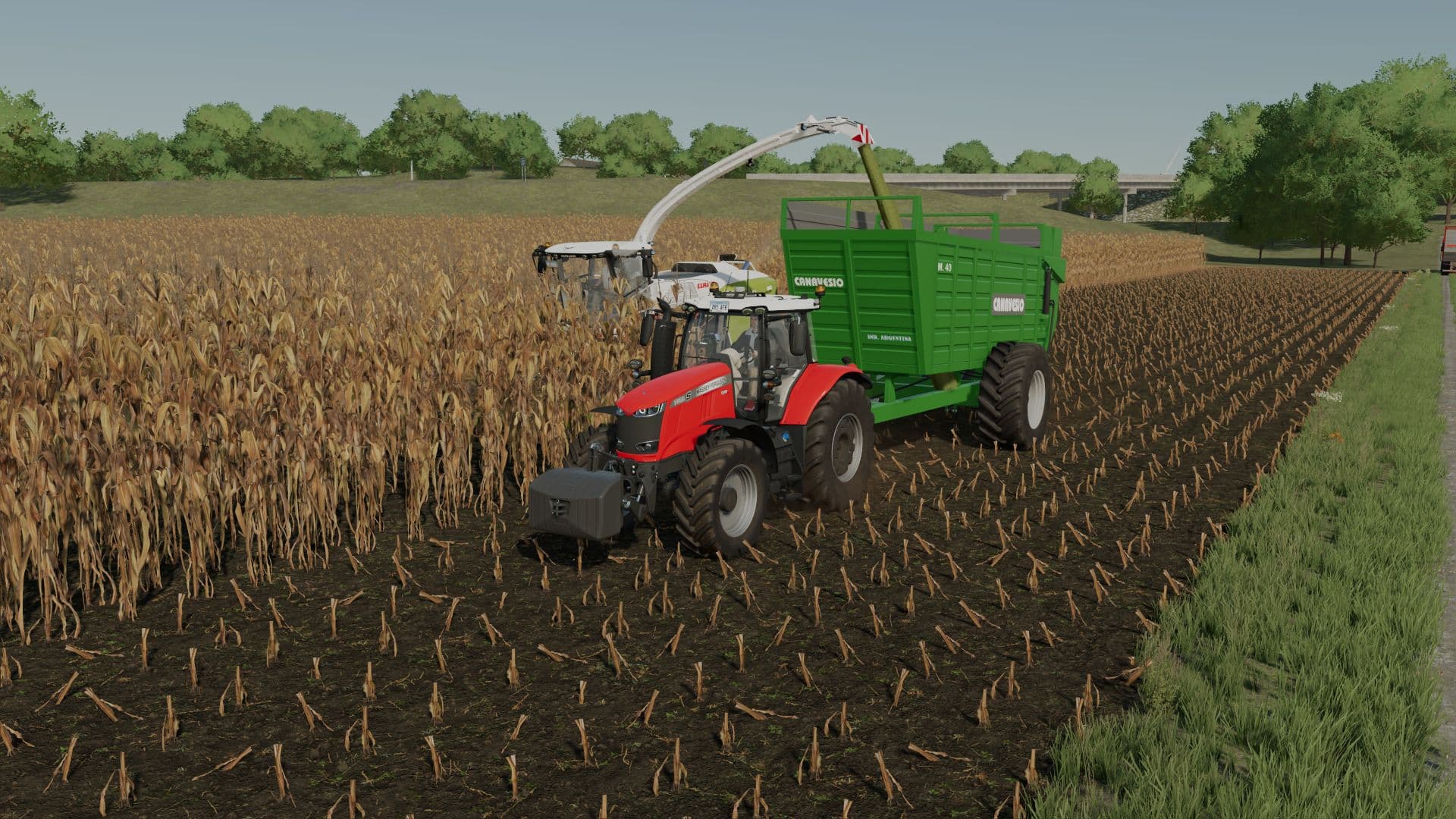Pack Canavesio M40 2