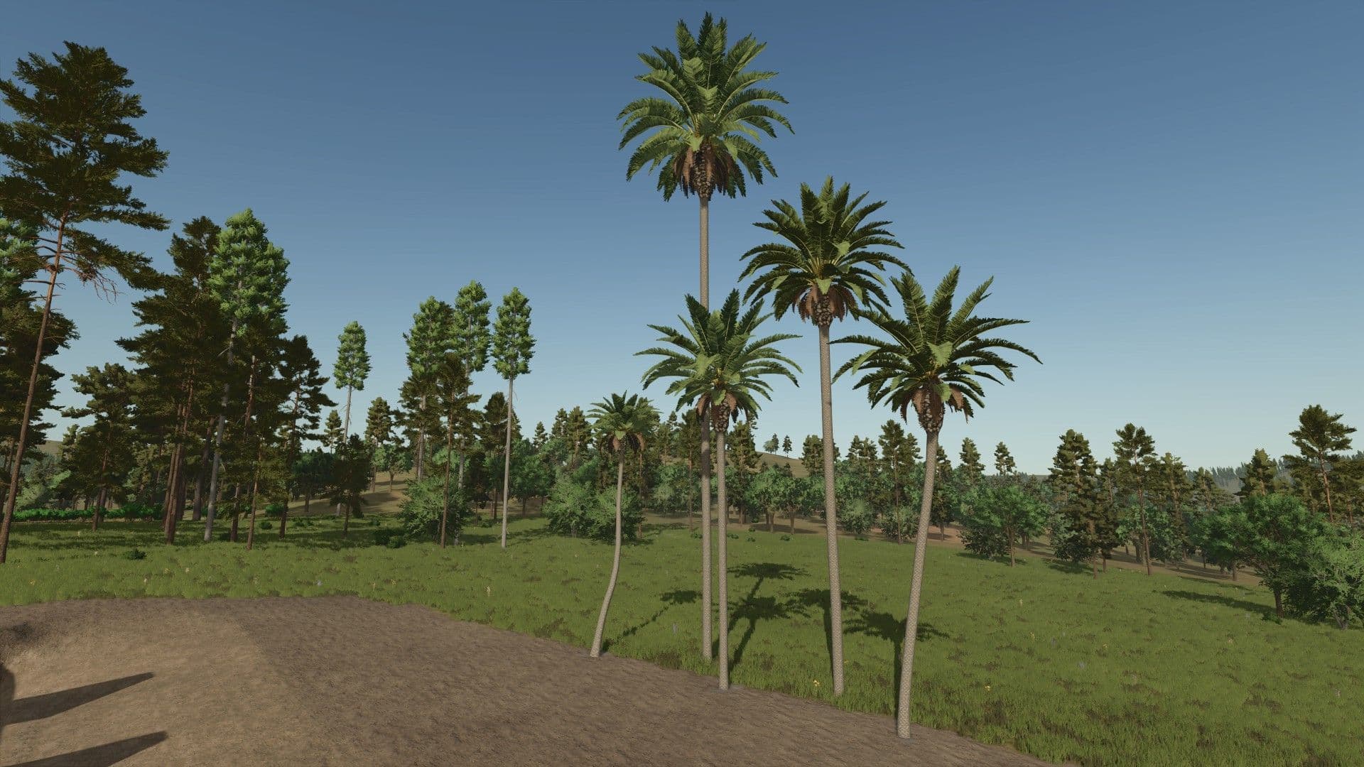 Palm Tree Pack