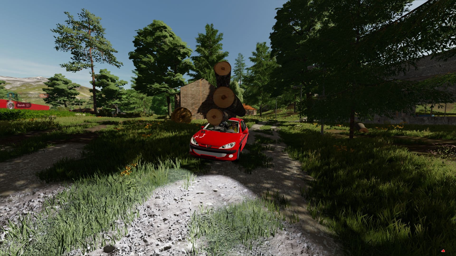 Peugeot 206 4