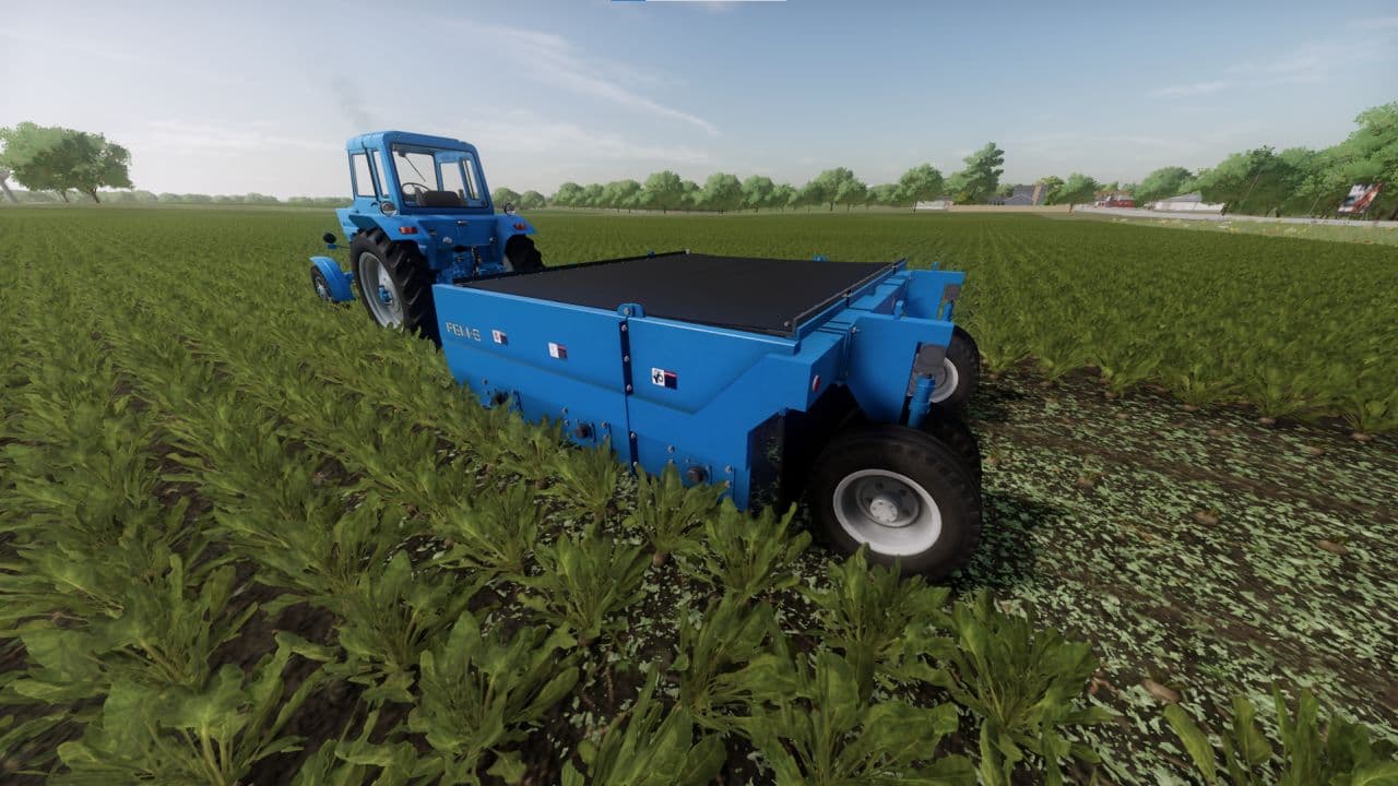 RBM-6 4