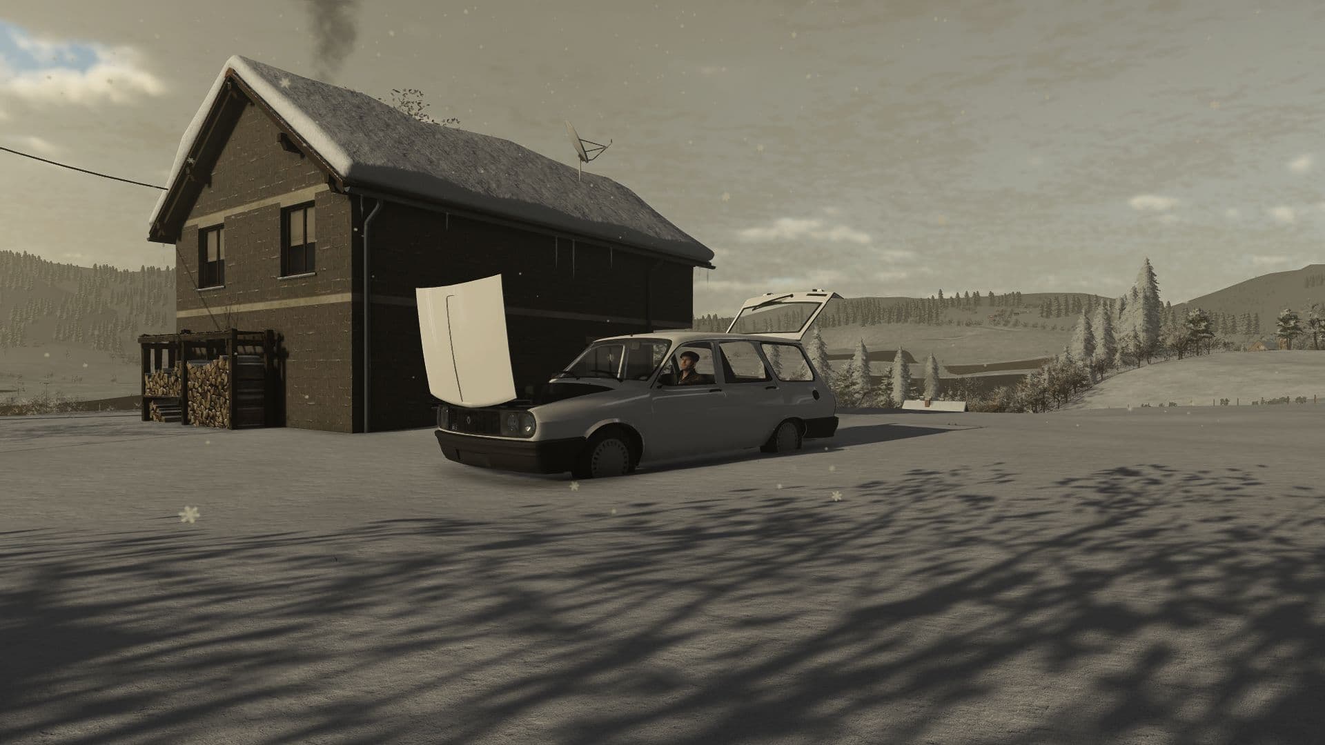 Renault Toros 12 STW 4
