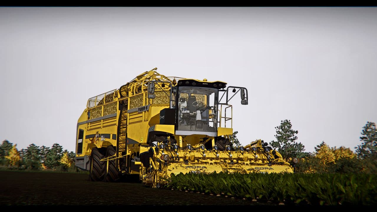 Ropa Tiger 6 XL 5