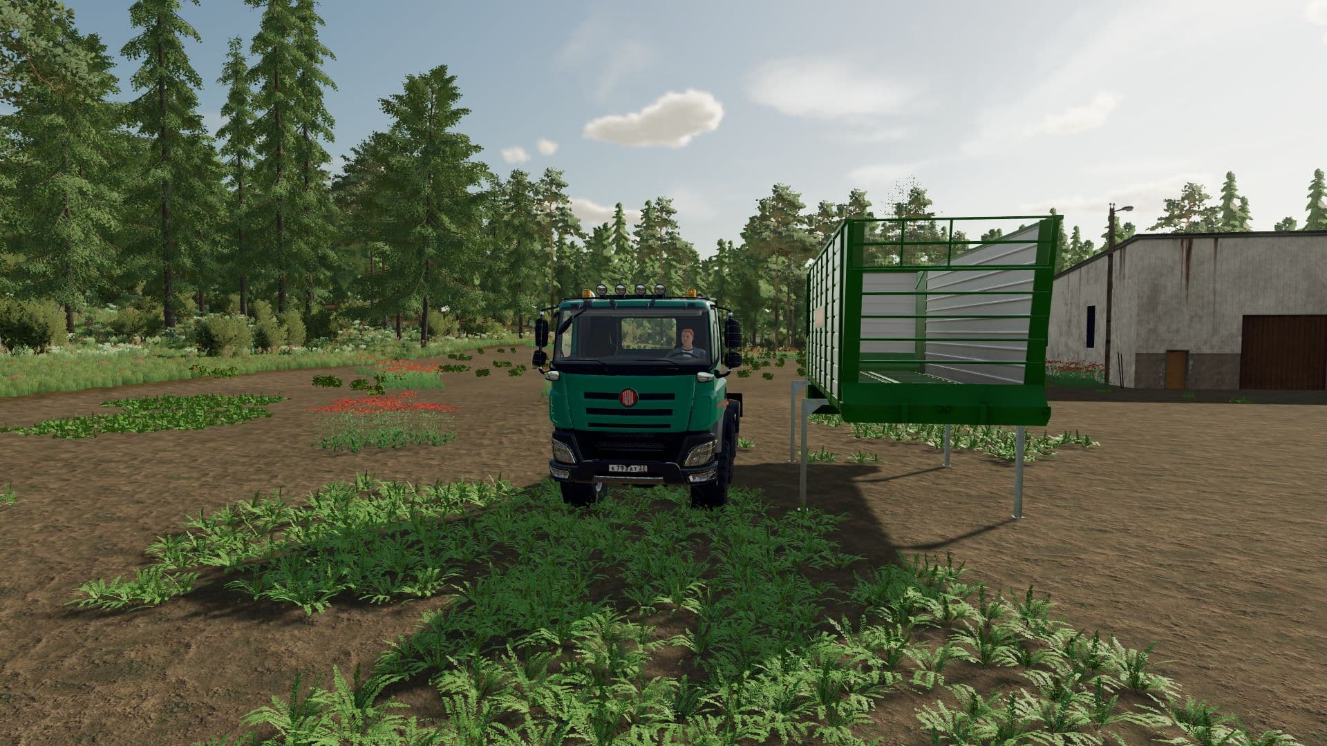 Tatra Phoenix 8x8 5